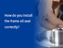 How do you install the frame oil seal correctly?